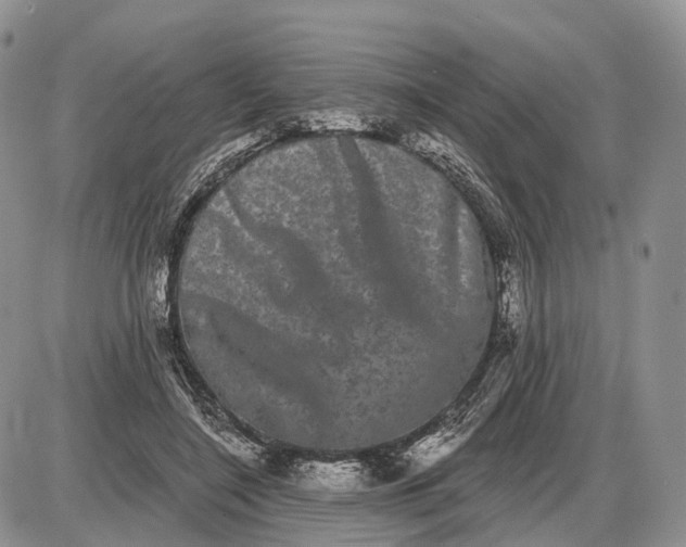 X0000085040548200703191236