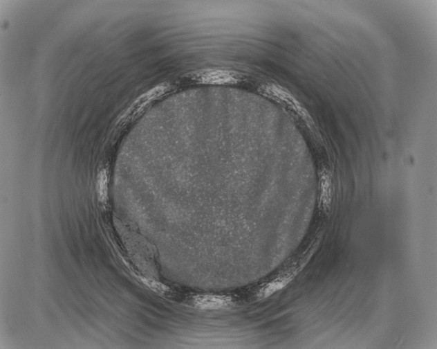 X0000085040549200703191236