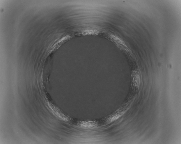 X0000085040550200703191236