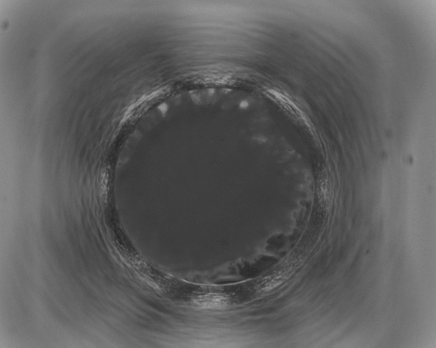 X0000085040551200703191236