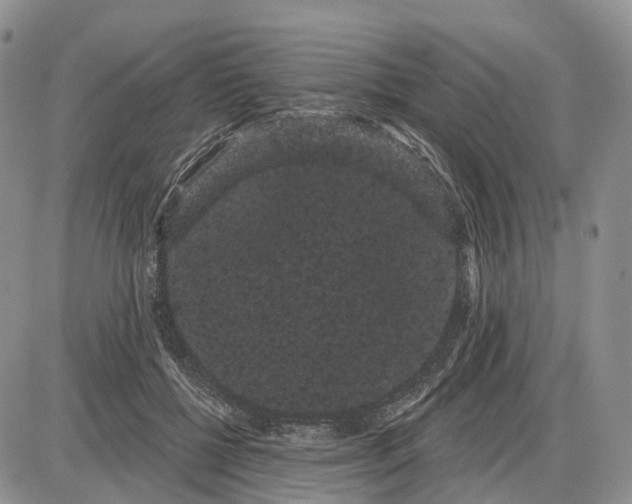 X0000085040552200703191236