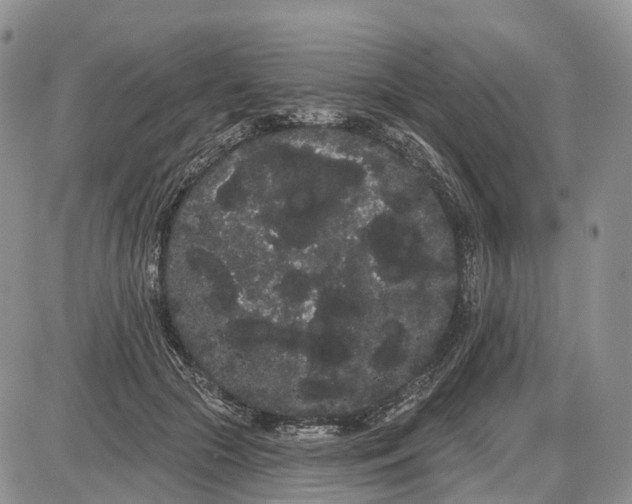 X0000085040553200703191236