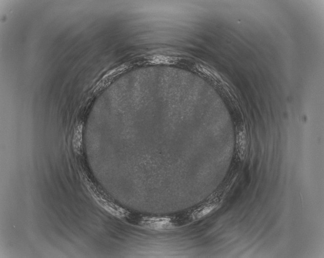 X0000085040554200703191236