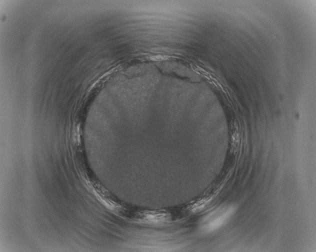 X0000085040555200703191236