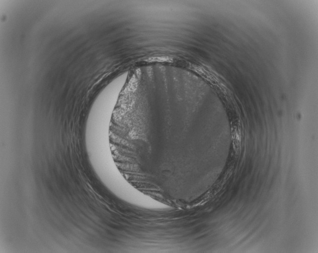 X0000085040556200703191236