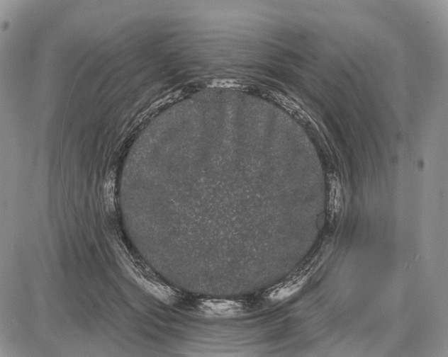 X0000085040557200703191236