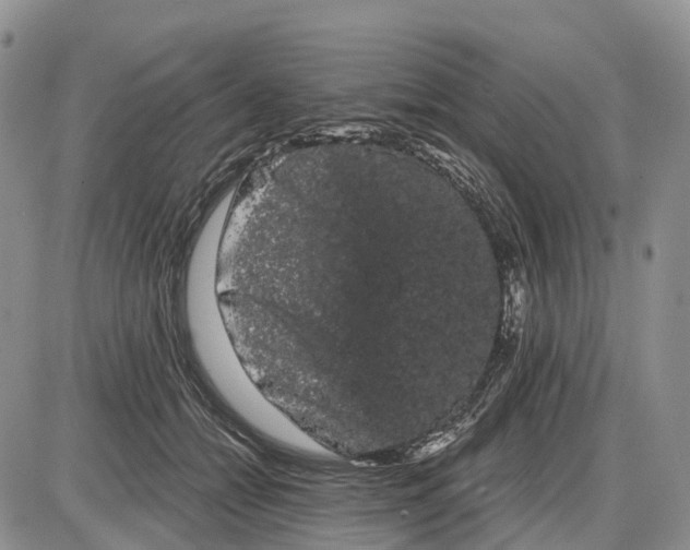 X0000085040558200703191236