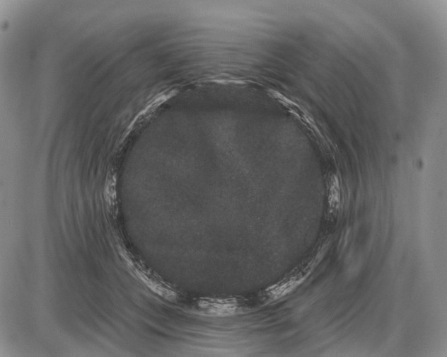 X0000085040559200703191236