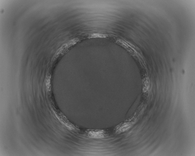 X0000085040560200703191236