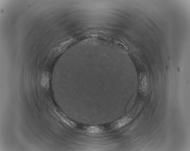 X0000085040562200703191236