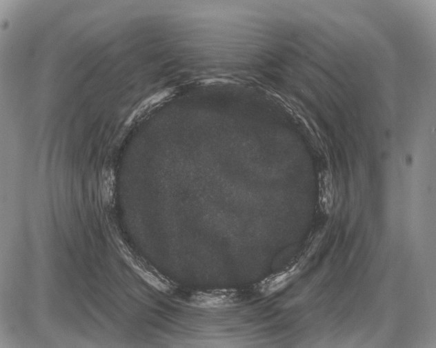 X0000085040563200703191236