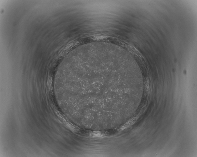 X0000085040565200703191236