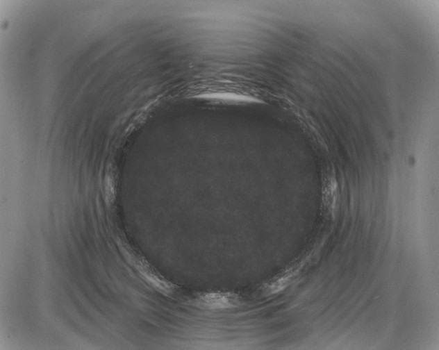 X0000085040566200703191236