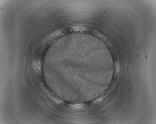 X0000085040567200703191236