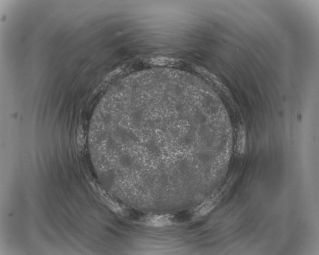 X0000085040569200703191236