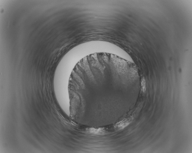 X0000085040570200703191236