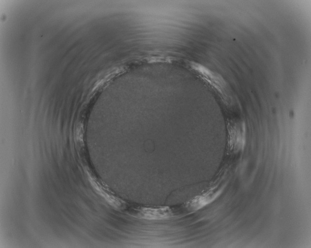 X0000085040571200703191236