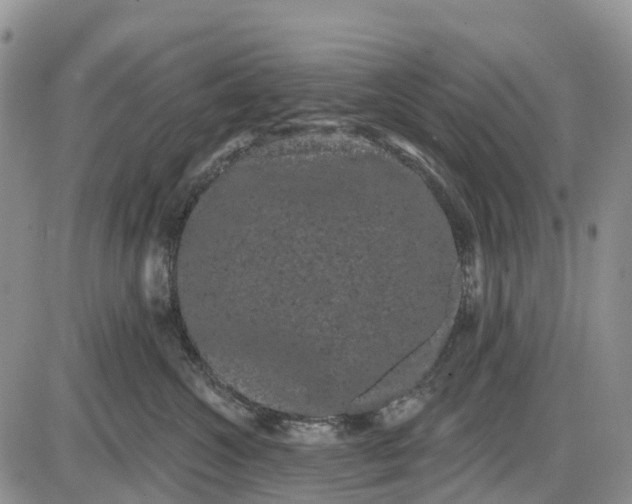 X0000085040572200703191236