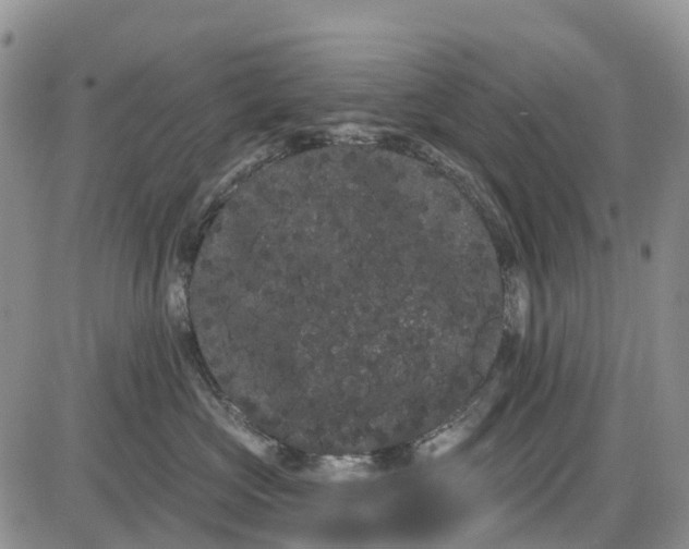 X0000085040573200703191236