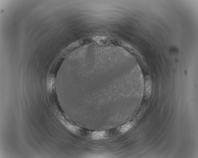 X0000085040574200703191236