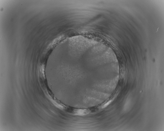 X0000085040575200703191236