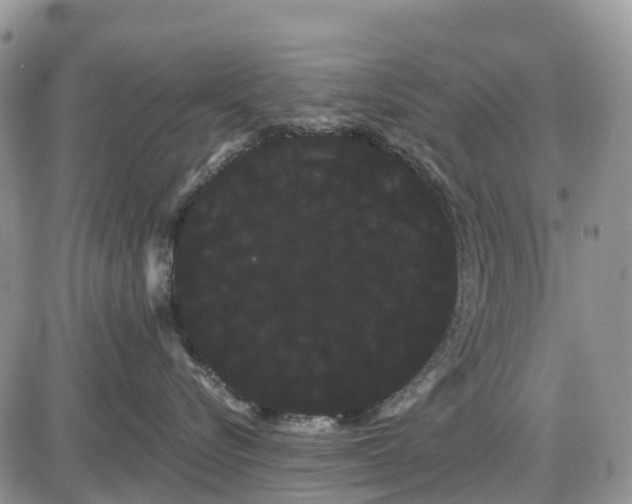 X0000085040576200703191236