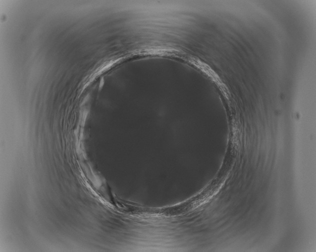 X0000085040577200703191235