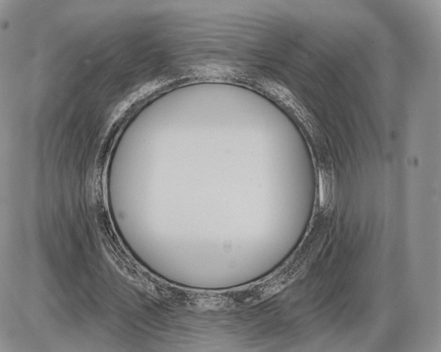 X0000085040579200703191235