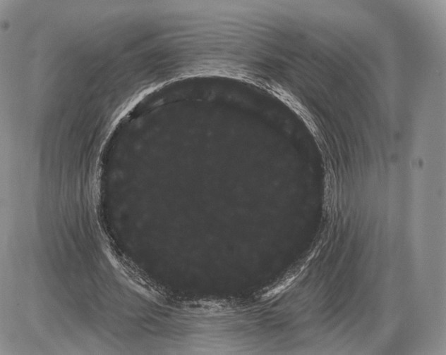 X0000085040580200703191235