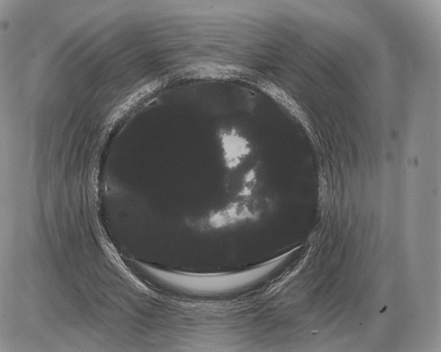 X0000085040581200703191235