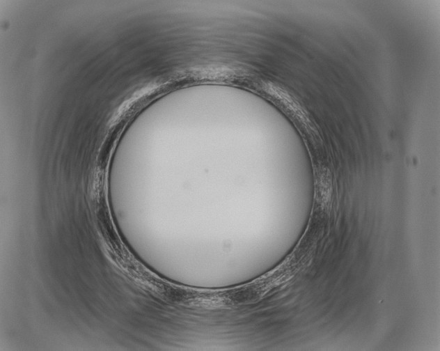 X0000085040583200703191235