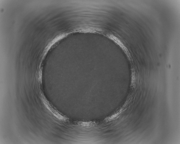 X0000085040584200703191235