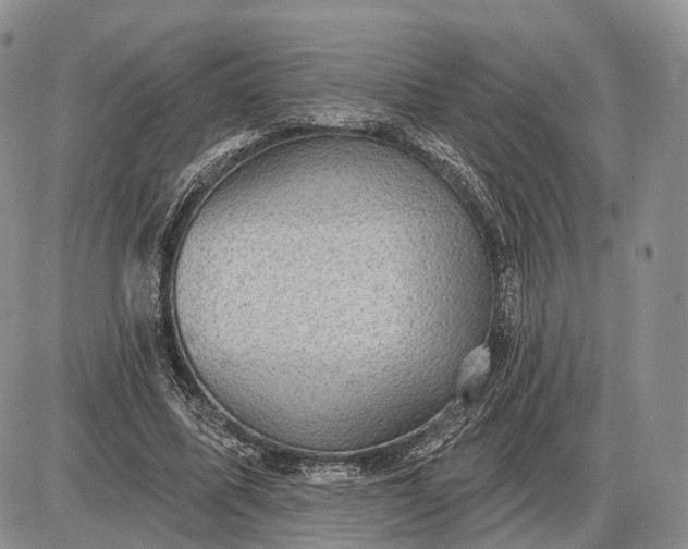 X0000085040587200703191235