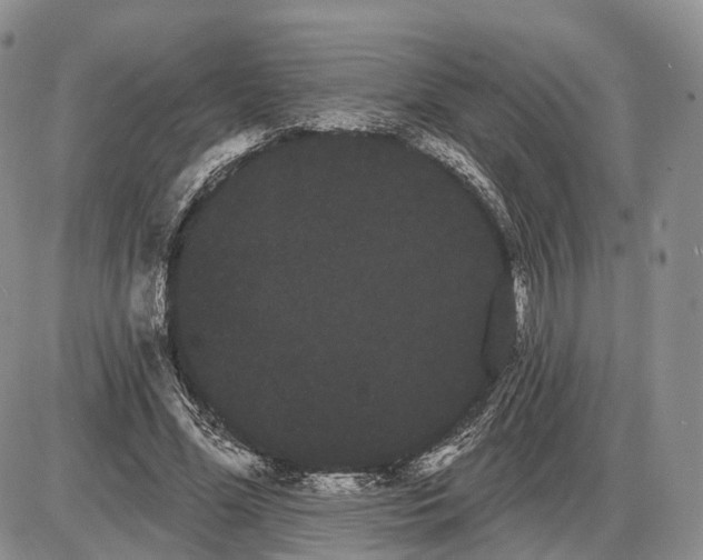 X0000085040588200703191235