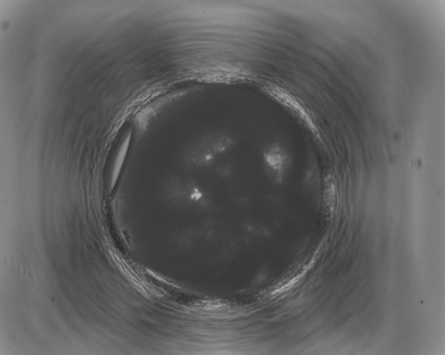 X0000085040589200703191235