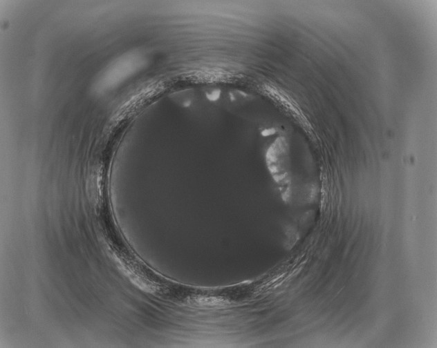 X0000085040590200703191235