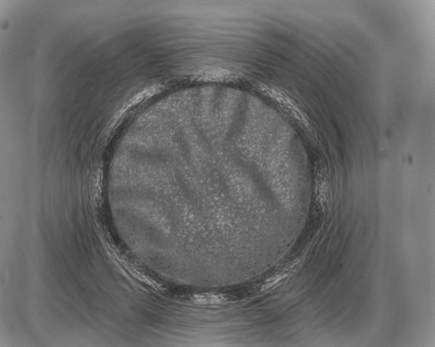 X0000085040591200703191235