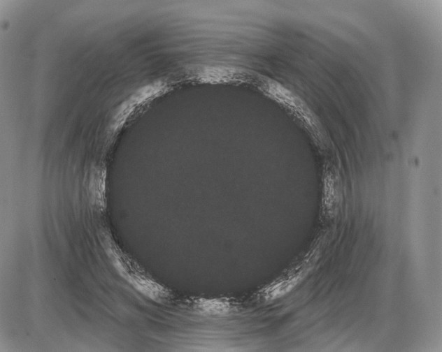 X0000085040592200703191235