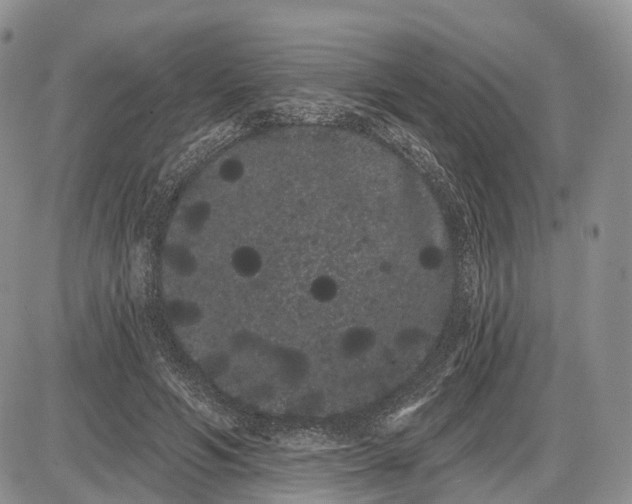 X0000085040594200703191235