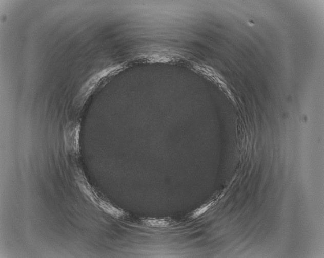 X0000085040596200703191235