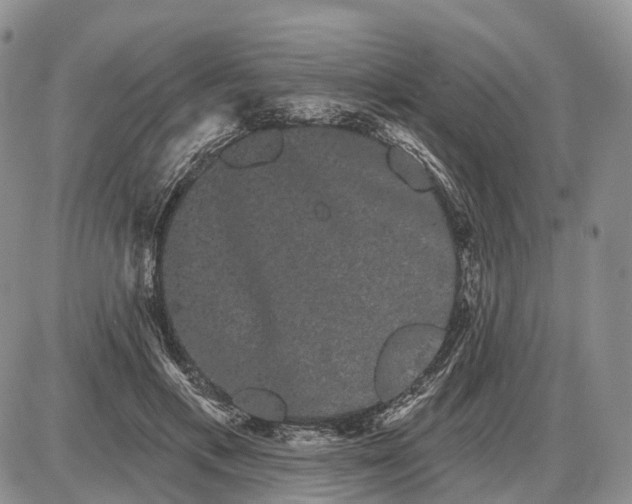 X0000085040597200703191235