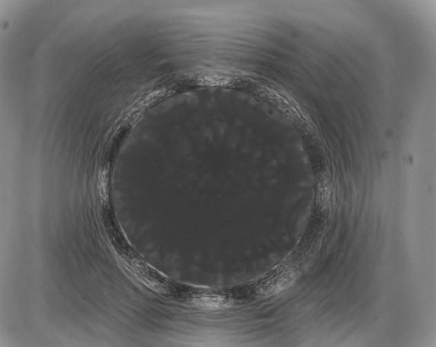 X0000085040598200703191235