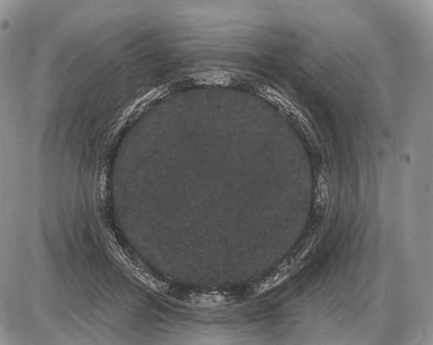 X0000085040600200703191235