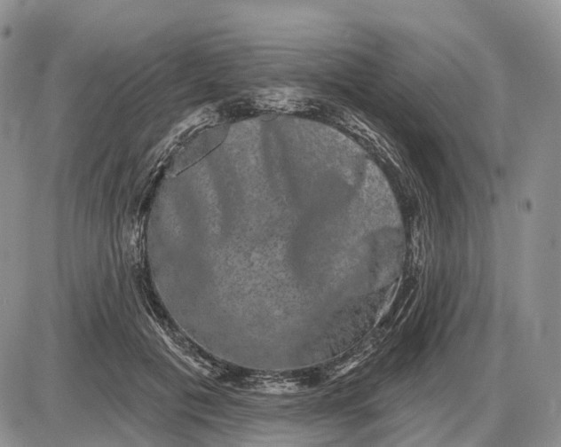 X0000085040601200703191235