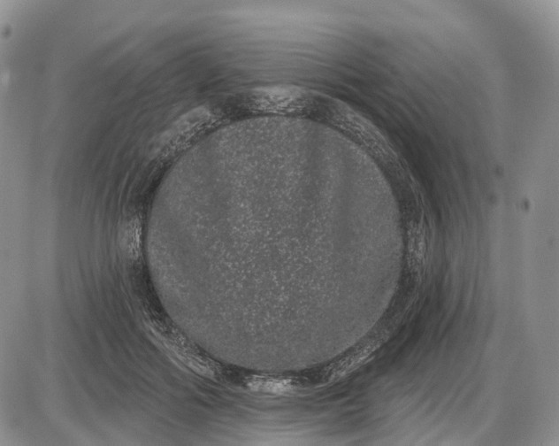 X0000085040602200703191235