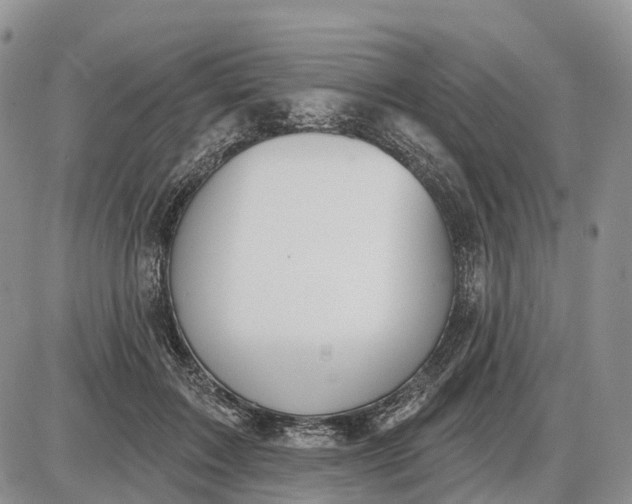 X0000085040603200703191235