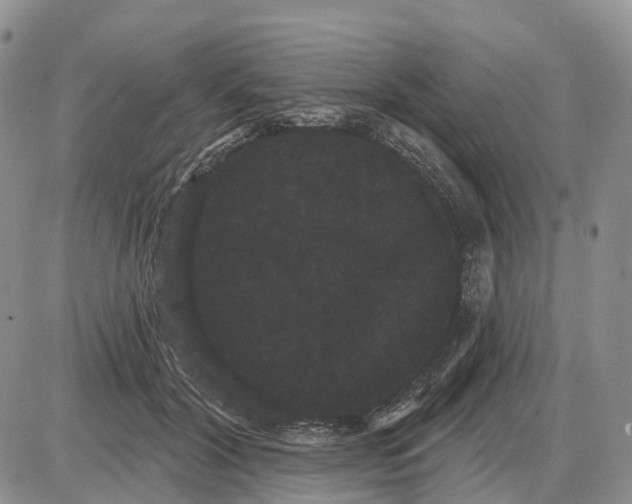 X0000085040604200703191235