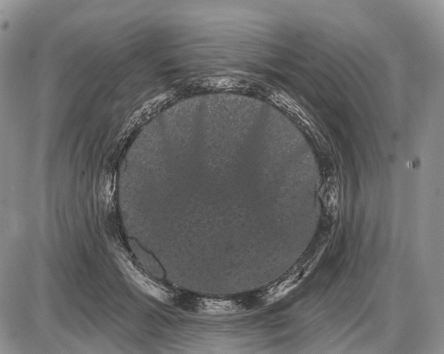 X0000085040605200703191235