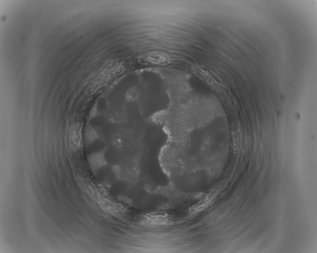 X0000085040606200703191235