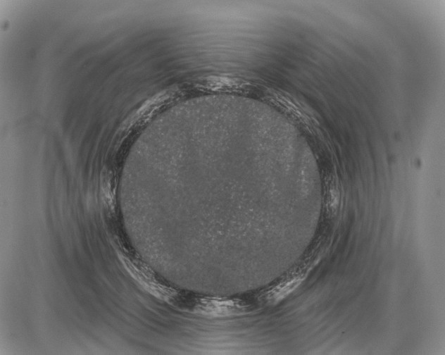 X0000085040607200703191235